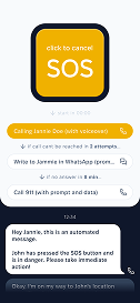 Project mobile preview